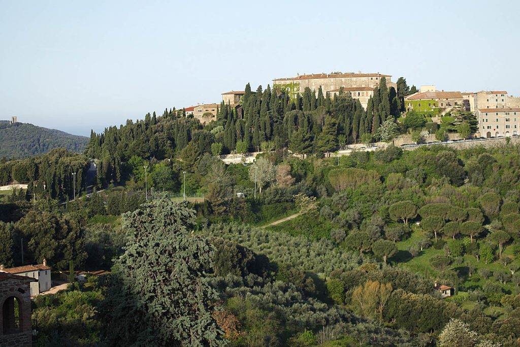 Castagneto Carducci (LI), Toscana, Italia, Europa