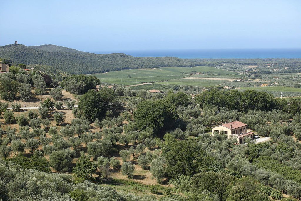 Castagneto Carducci (LI), Toscana, Italia, Europa