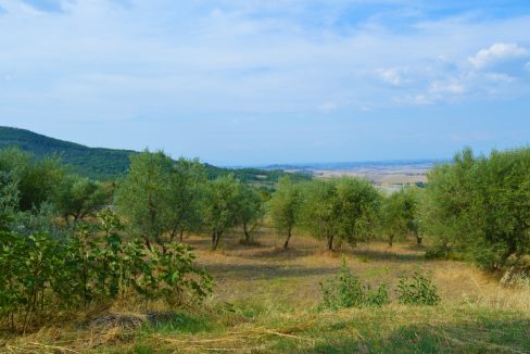 T903 - Villa in Vendita a Montecatini Val di Cecina 08