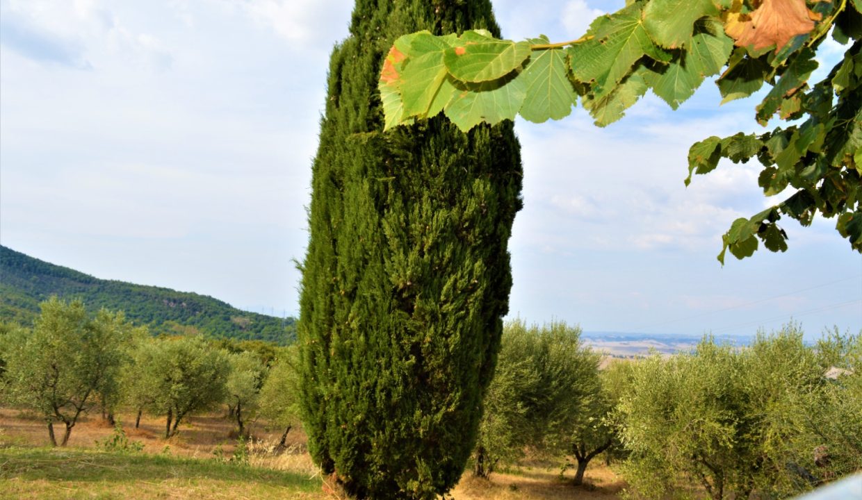 T903 - Villa in Vendita a Montecatini Val di Cecina 09