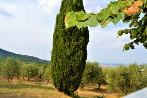 T903 - Villa in Vendita a Montecatini Val di Cecina 09