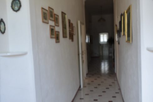 T903 - Villa in Vendita a Montecatini Val di Cecina 14