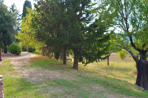 T903 - Villa in Vendita a Montecatini Val di Cecina 18