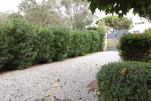 T904 - Villa in Vendita a Cecina 12