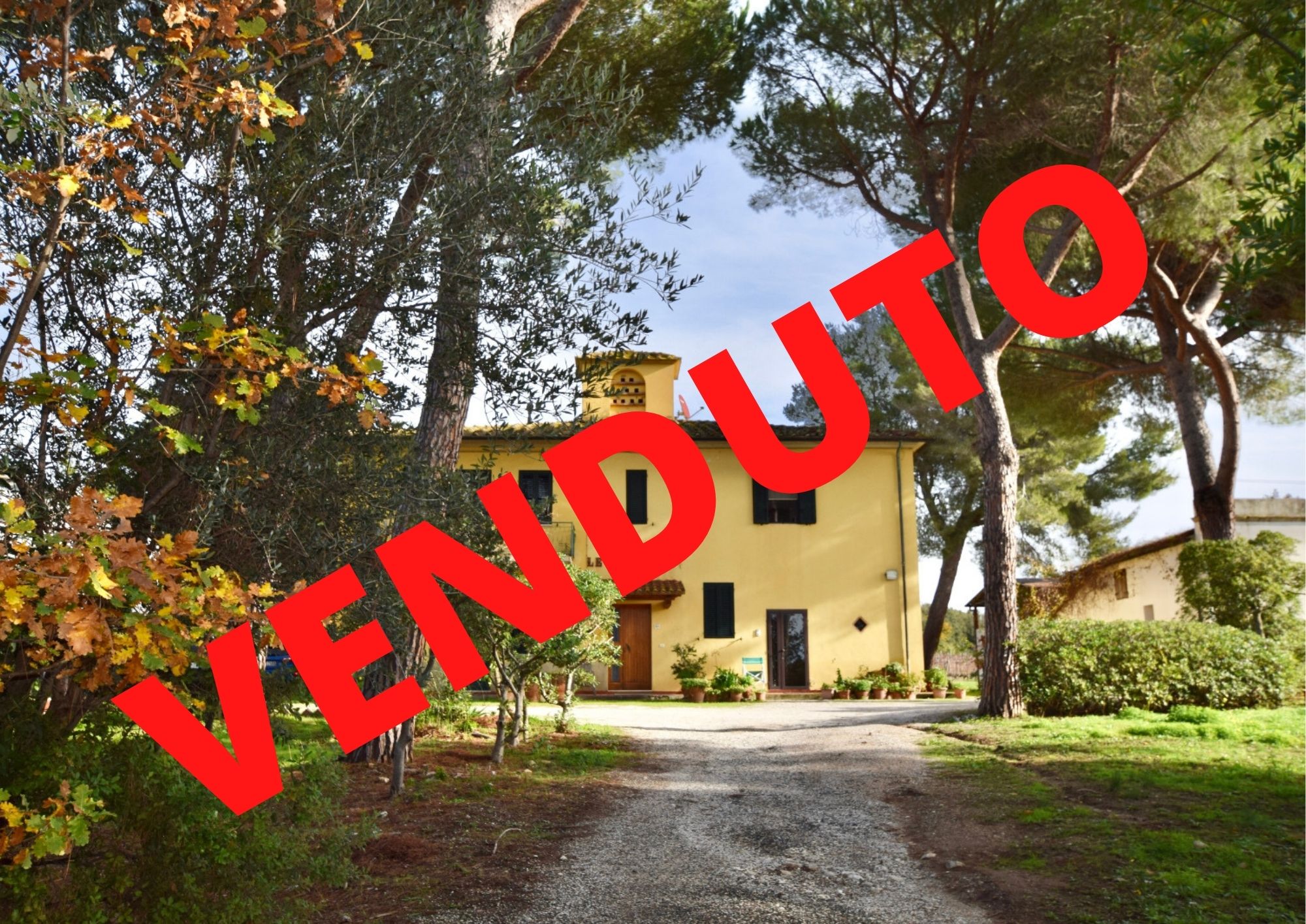 T705 – PORZIONE DI CASOLARE A BOLGHERI
