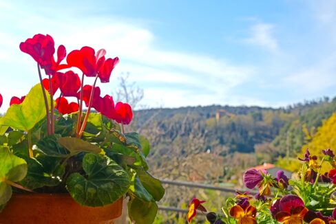 IMG_20250403_160722