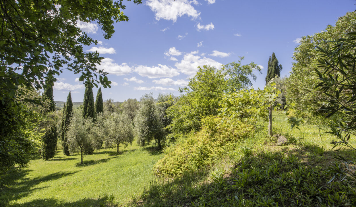 Monteverdi-11