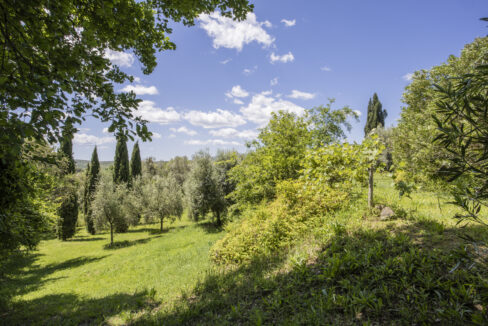 Monteverdi-11