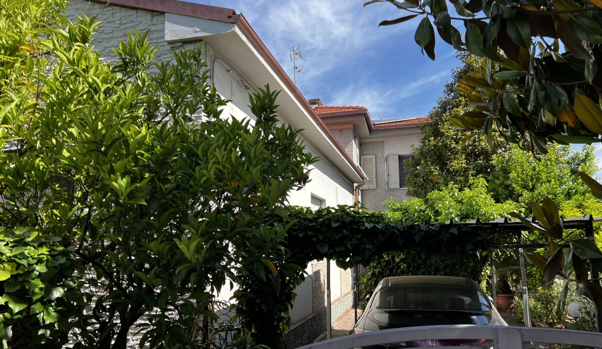 1. IMG_6305