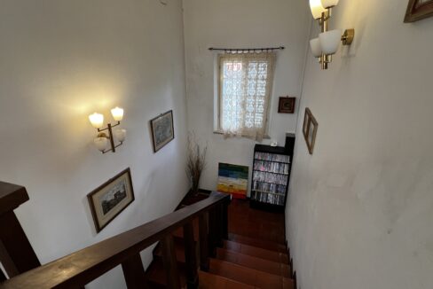37. IMG_6367